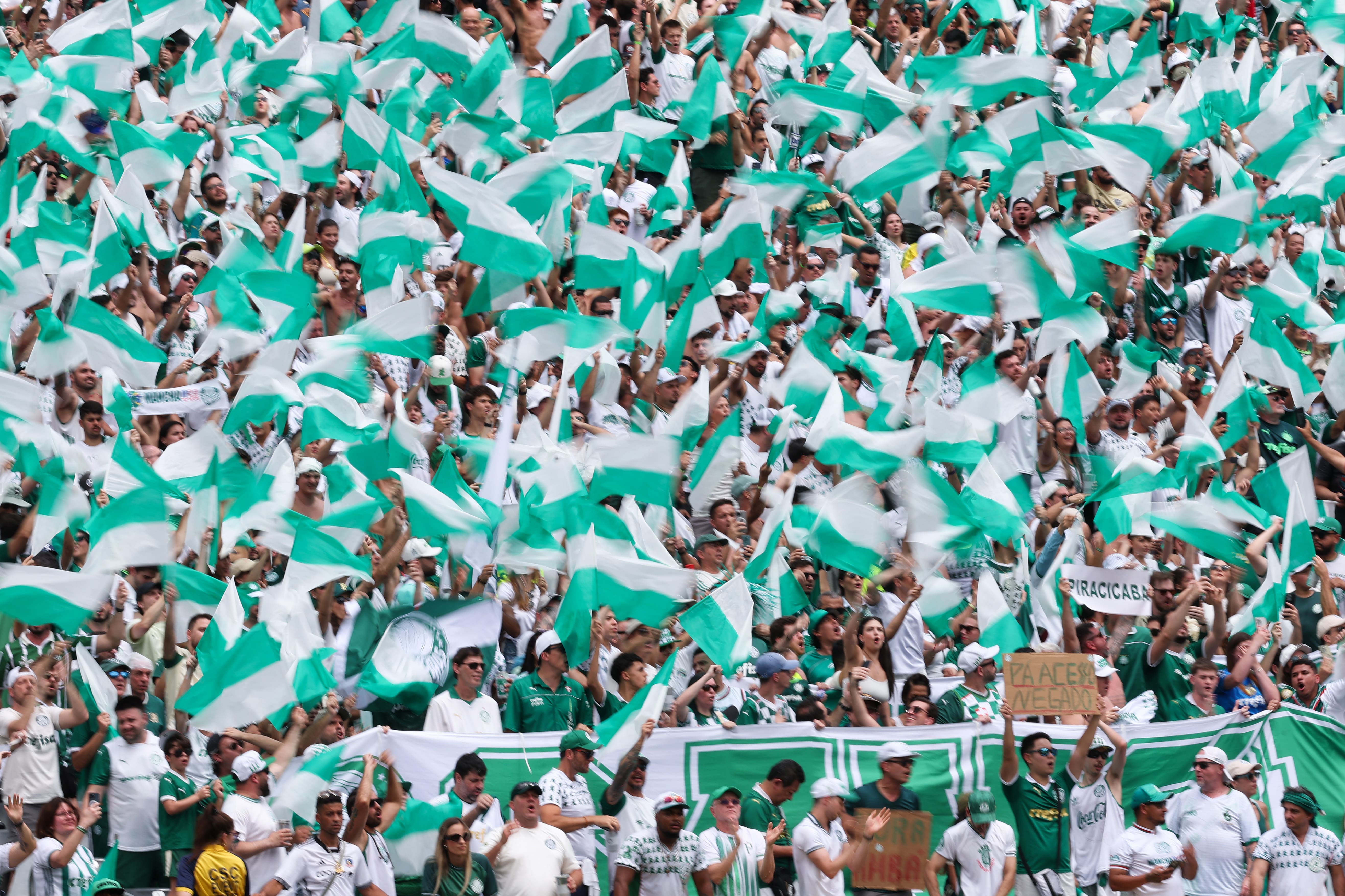 EAST RUTHERFORD, NEW JERSEY - JUNE 19: Fans of Palmeiras react, enjoying the match atmosphere during the FIFA Club World Cup 2025 group A match between SE Palmeiras and Al Ahly SC at MetLife Stadium on June 19, 2025 in East Rutherford, New Jersey. (Photo by Elsa - FIFA/FIFA via Getty Images)